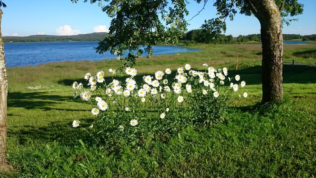 Nivagården Villa Korpikylä Exteriör bild